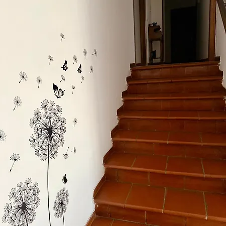 La Farfalla Di Vittori Fabiola